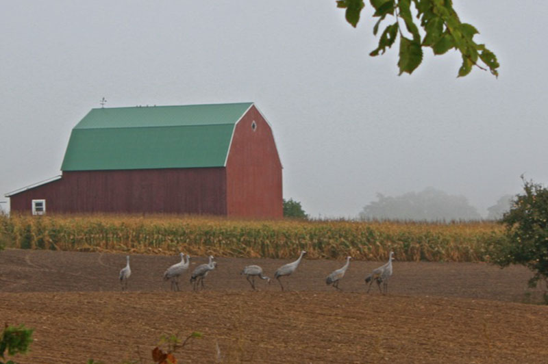 North Central State Trail - Waters to Indian River